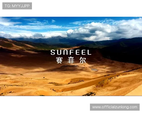 尊龙凯时直营平台最新优惠政策，详细介绍各类促销活动助力玩家获利